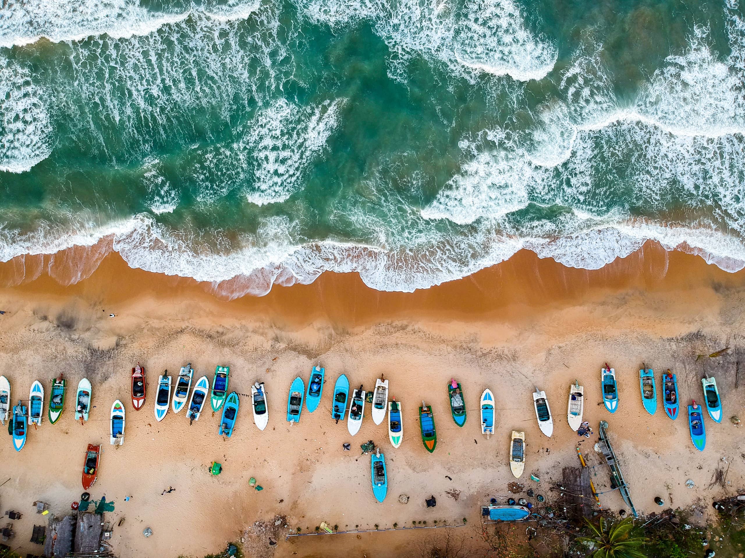 East Coast & Surf — image 2