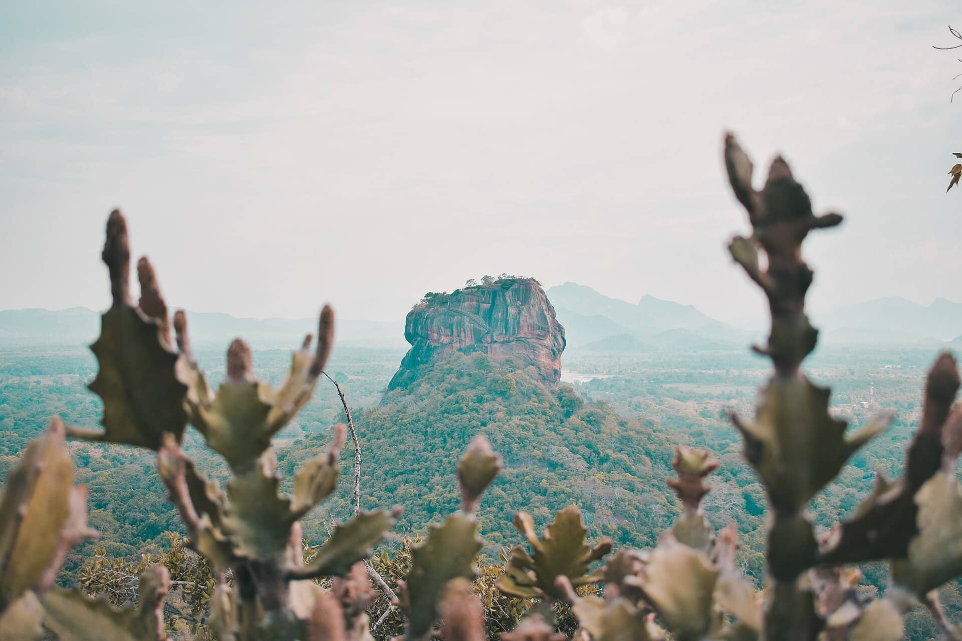 Sri Lanka Grand Experience — image 1