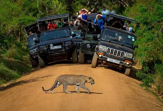 Sri Lanka Grand Experience — image 4