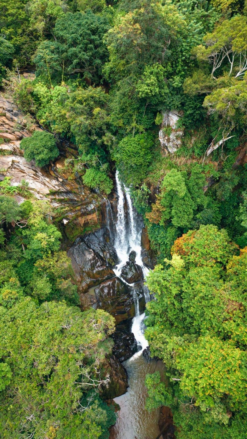 A waterfall dropping through dense forest, seen from directly above