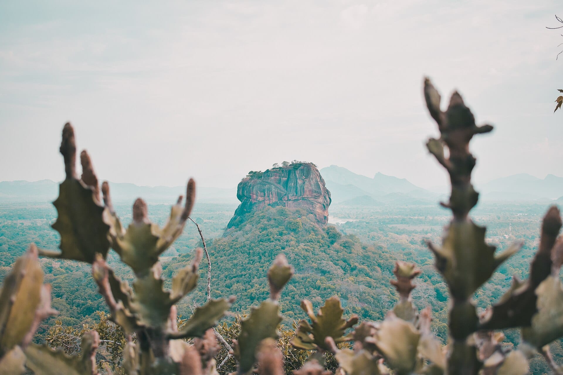 The Sigiriya rock fortress rising above the surrounding jungle in early morning light